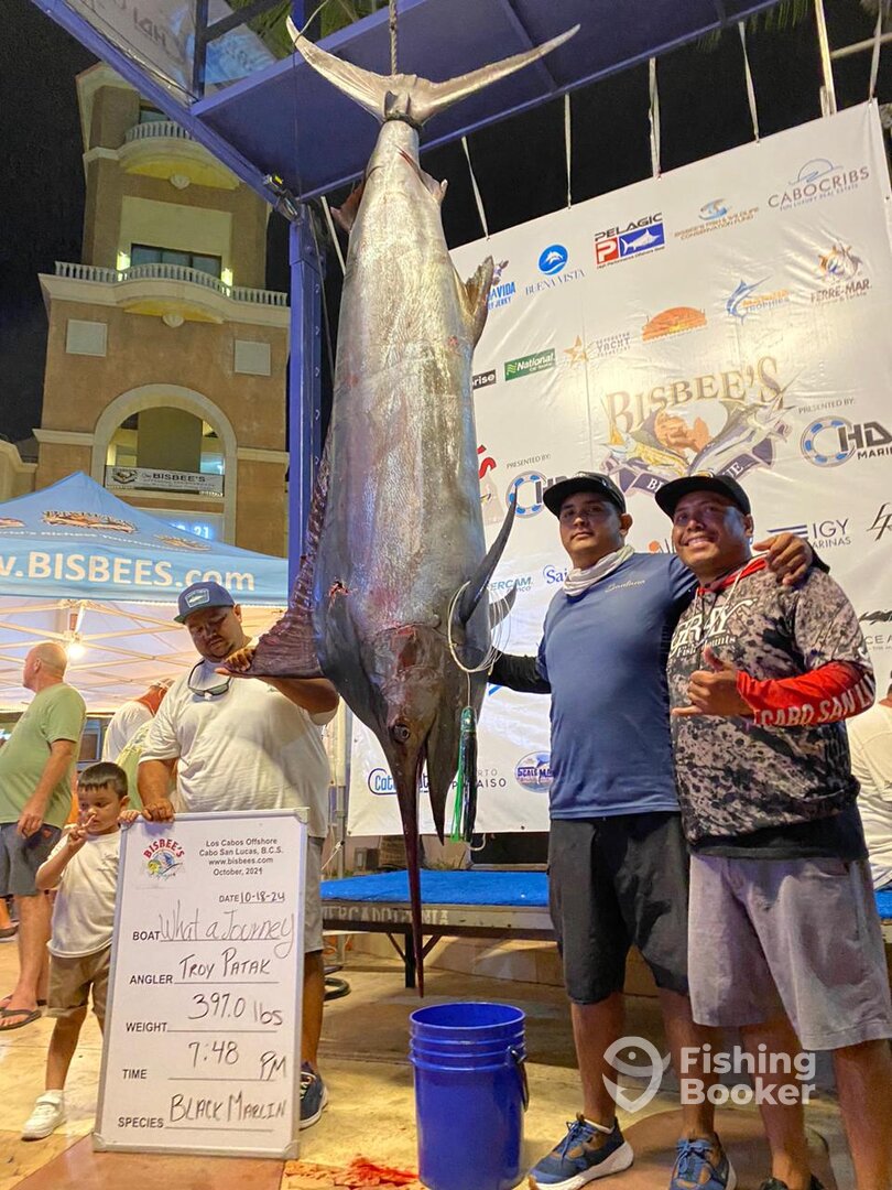 Cabo San Lucas Report Photo 0