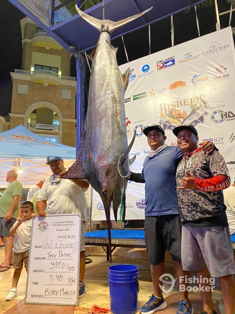 Cabo San Lucas Report Photo 0