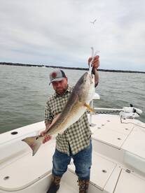 Galveston Report Photo 1
