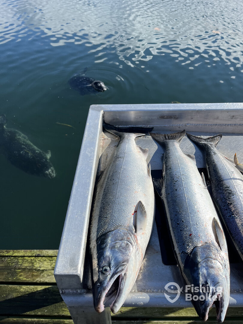 Sooke Report Photo 0