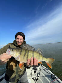 Epic zander/perch fishing