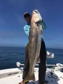 Fishing with B.A.S.S. Pro Aaron Martens