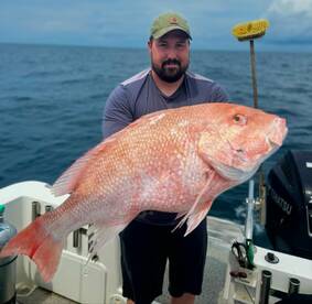 Reopen of red snapper