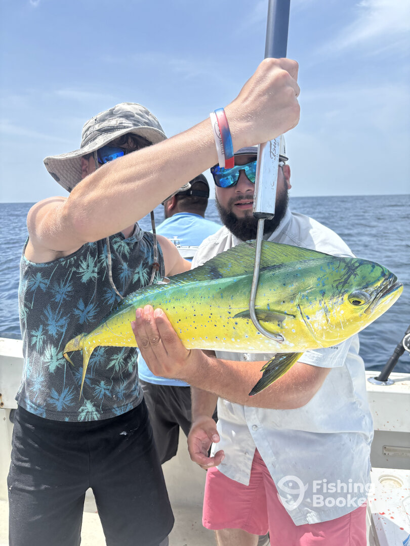 Gulf of Mexico Report Photo 0