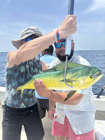 Freeport Report Photo 1