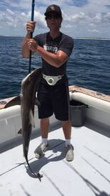 Shark Fishing