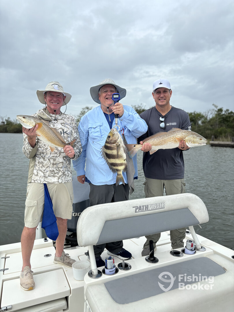 Venice Report Photo 0