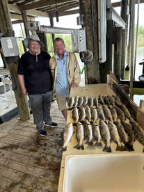 Venice Report Photo 1