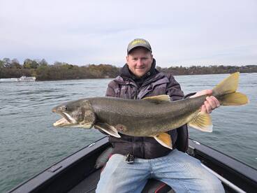 Seeing more steelhead 