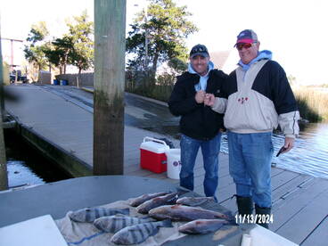 Great November fishing