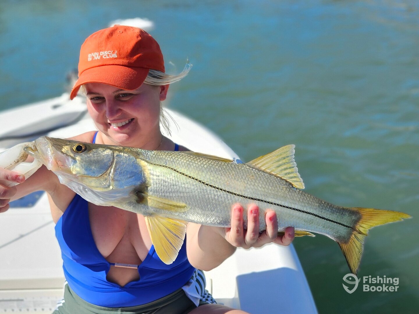 Sarasota Report Photo 0