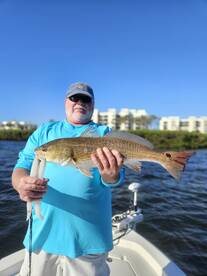 Sarasota Report Photo 1