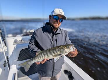 Jacksonville Report Photo 1