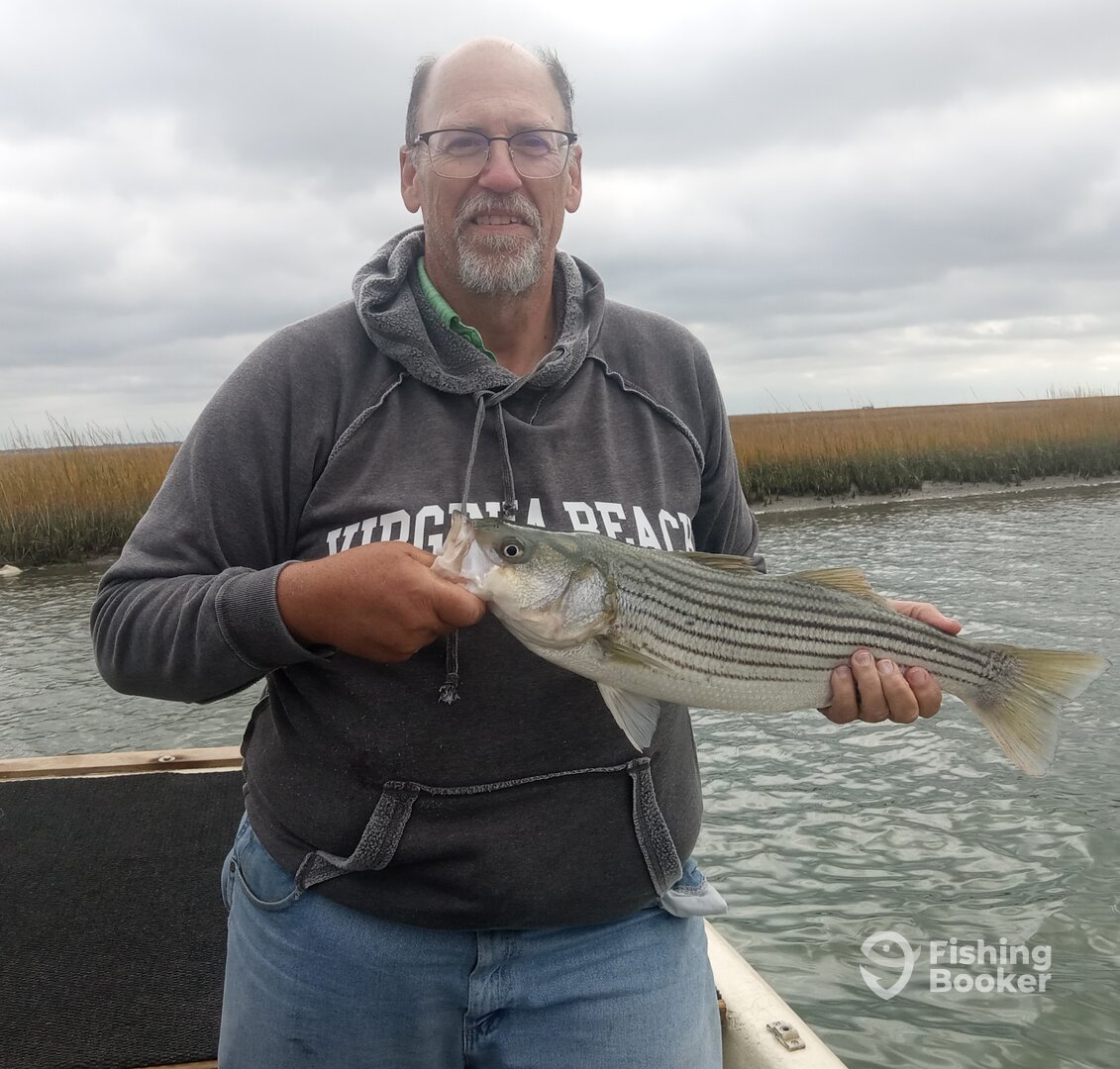 Chincoteague Report Photo 0