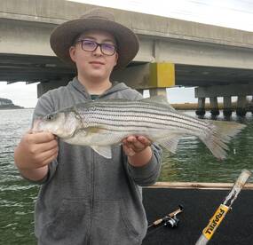 Chincoteague Report Photo 1
