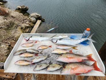 Mixed bag in high winds.