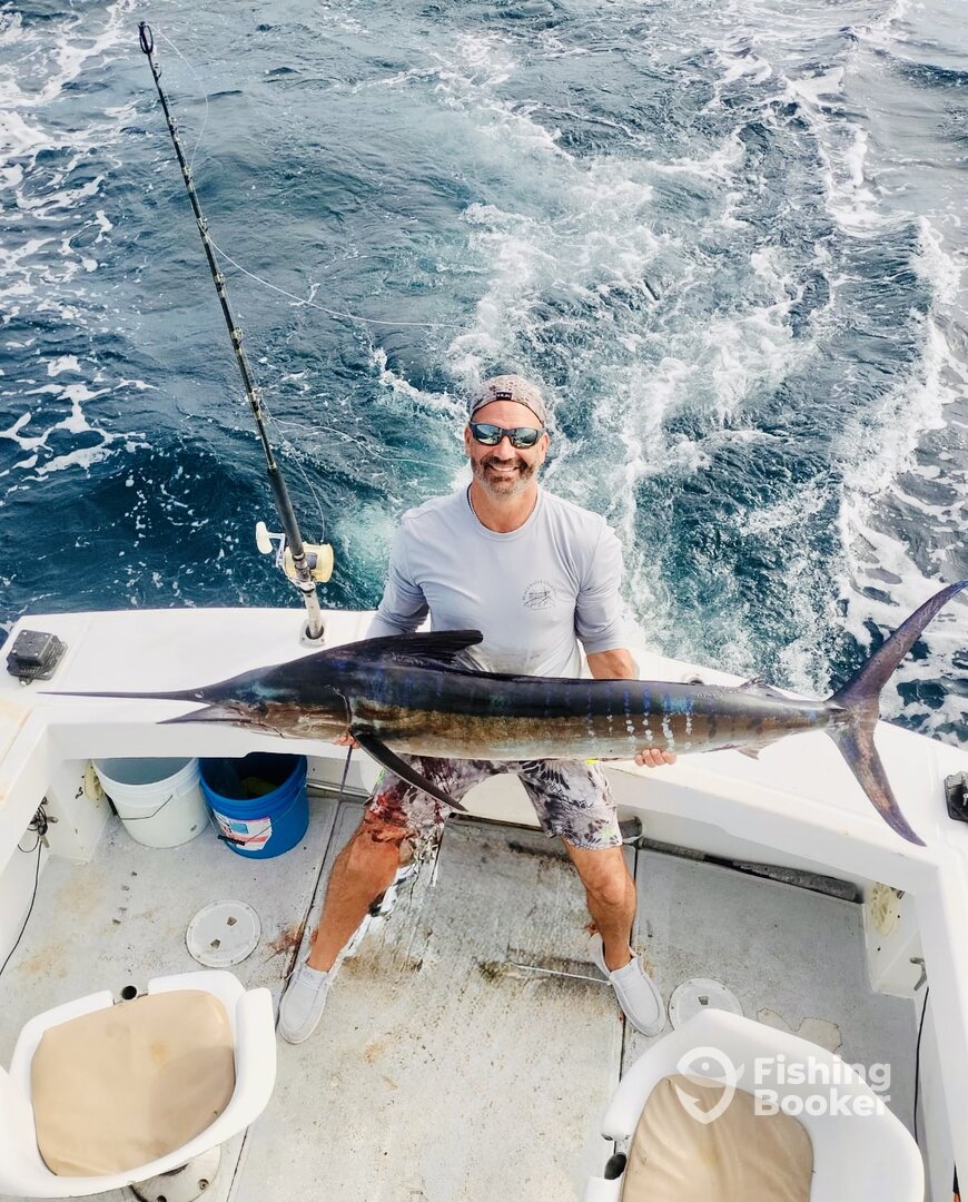 San Jose del Cabo Report Photo 0