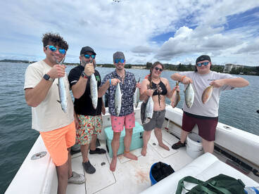 cero makerels and yellowtail snapper…1 s