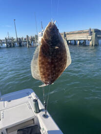Morehead City Report Photo 2