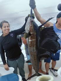 sailfish on board