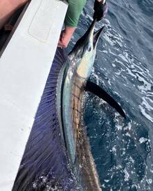 Herradura Report Photo 2