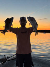 Townville Report Photo 1