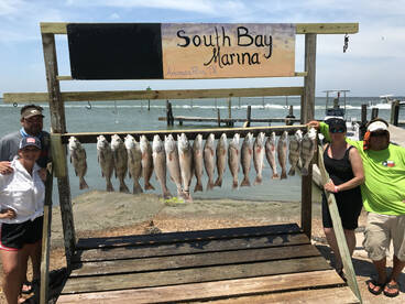 Our catch for the tournament!!