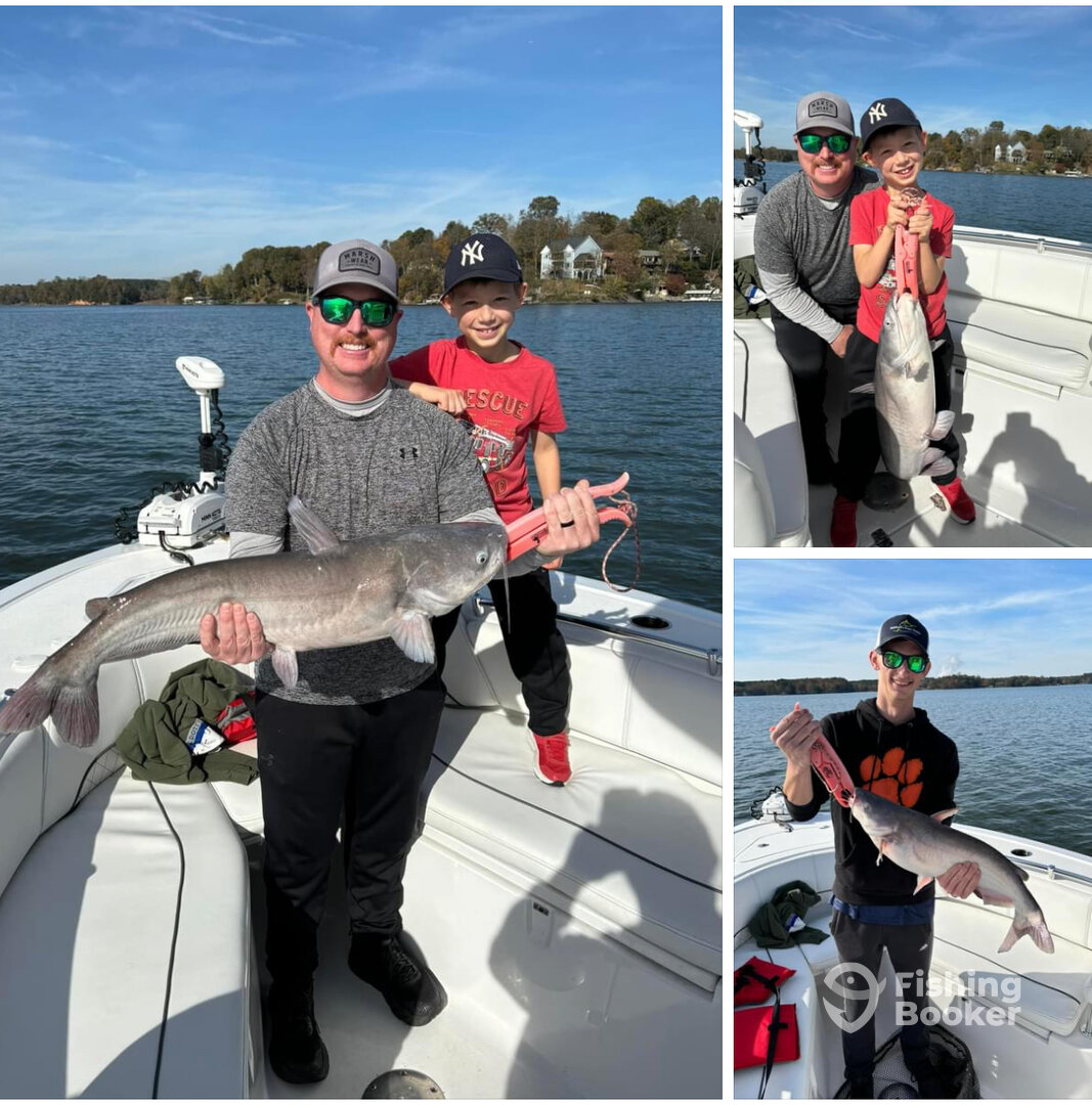 The Catfish bite Continues 