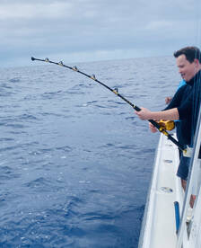 Sandys Report Photo 2