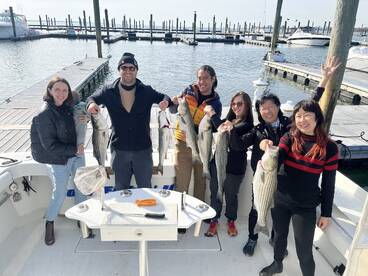 New York City Report Photo 1