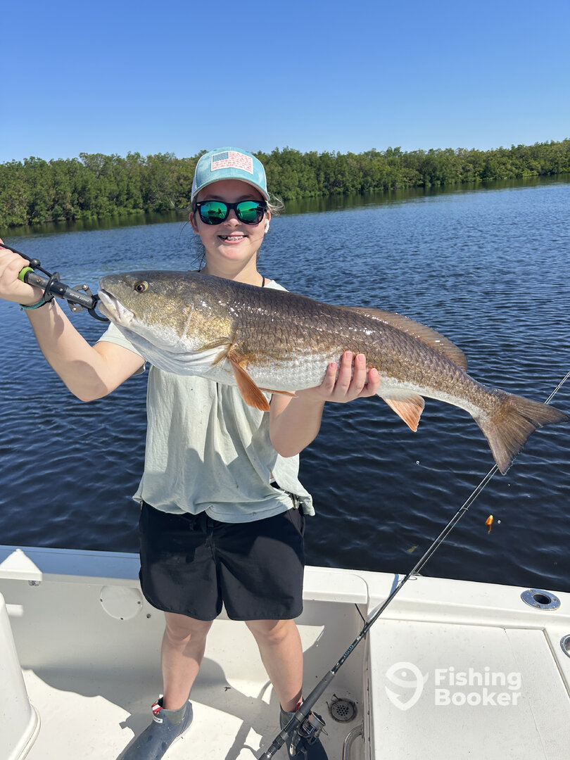 Clearwater Report Photo 0