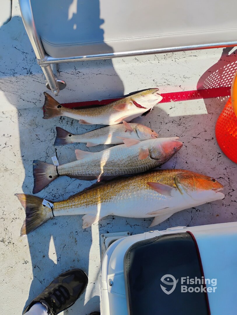 Port Aransas Report Photo 0