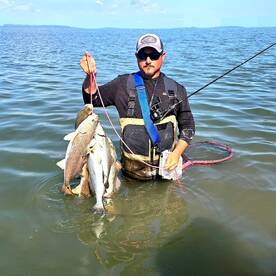 Fire redfish and trout bite