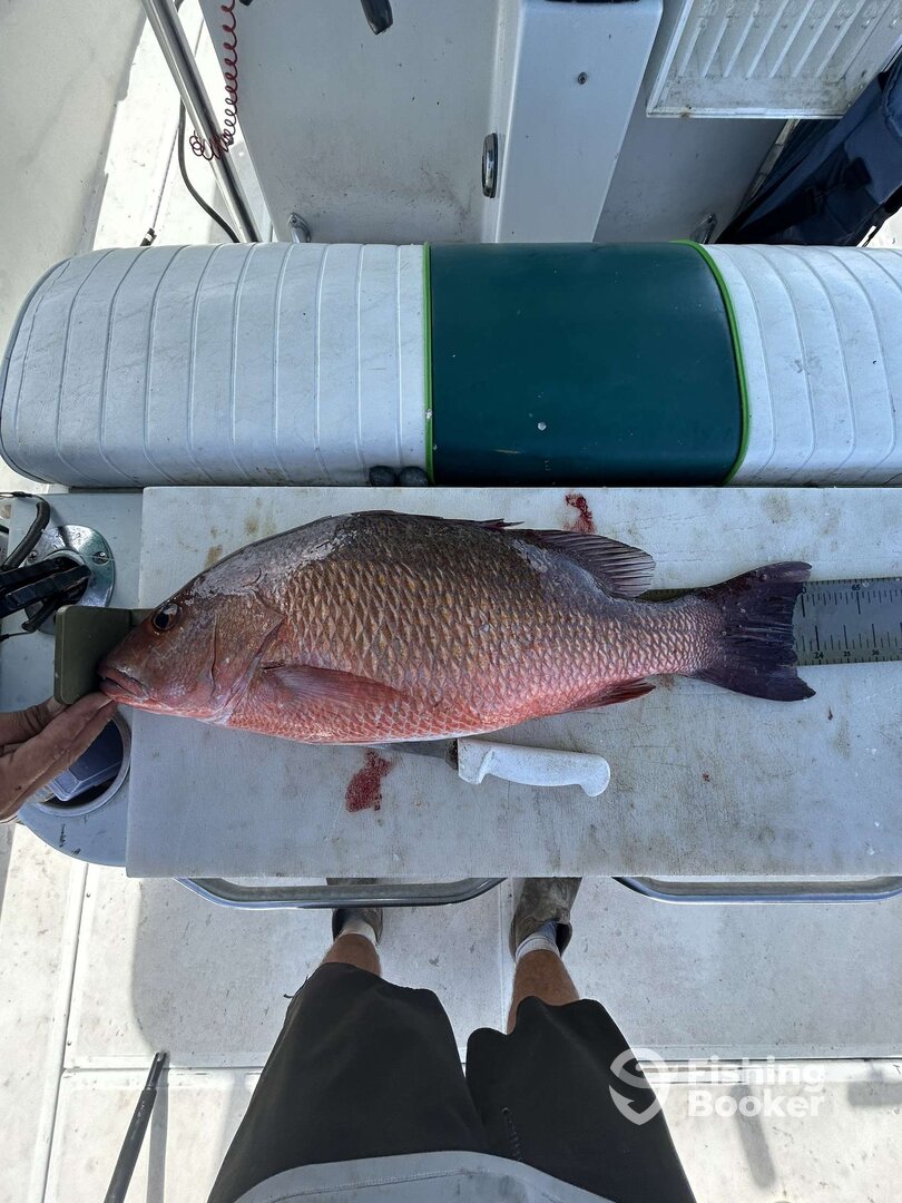 New Smyrna Beach Report Photo 0