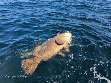 St. Petersburg Report Photo 2