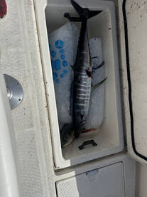 Fort Pierce Report Photo 1