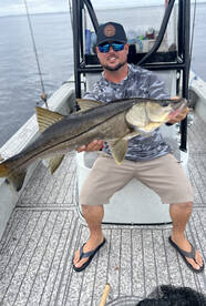 Gibsonton Report Photo 4