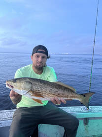 Gibsonton Report Photo 1