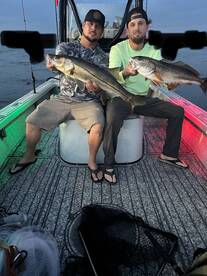 Gibsonton Report Photo 3