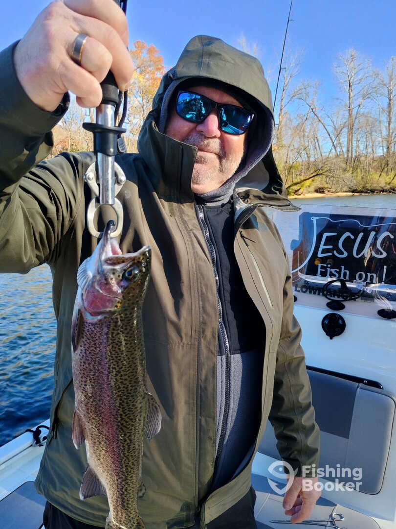 Branson Report Photo 0