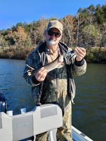 Branson Report Photo 2