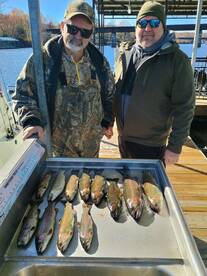 Branson Report Photo 1