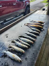 YOLO ON THE SOLO RUN