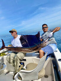 Puerto Vallarta Report Photo 1