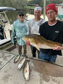 Gulf Shores Report Photo 2
