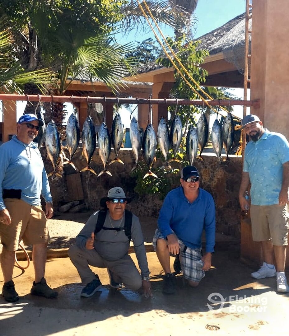 San Jose del Cabo Report Photo 0
