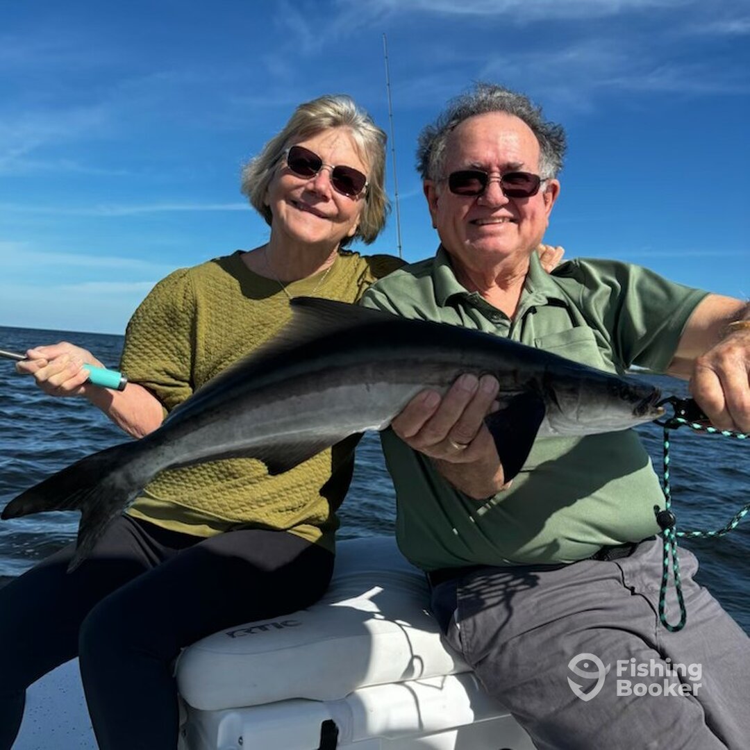 New Port Richey Report Photo 0