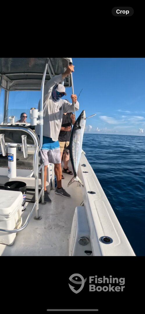 San Juan Report Photo 0