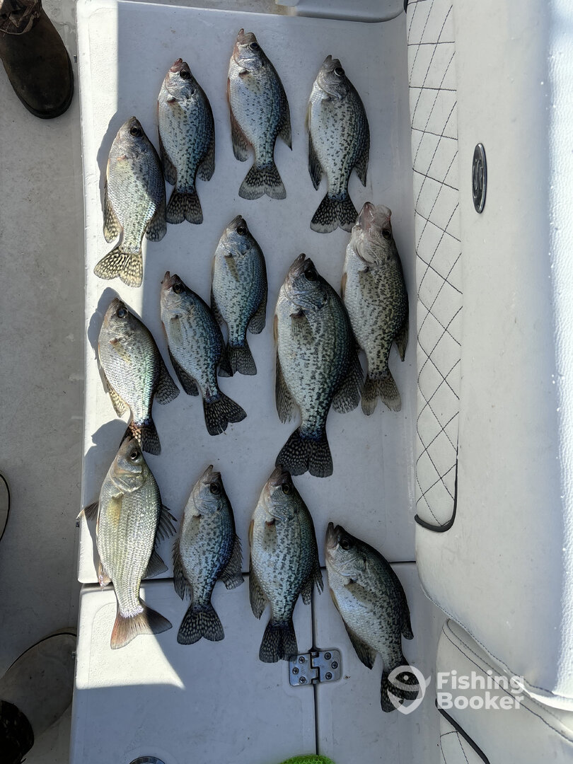 Tega Cay Report Photo 0