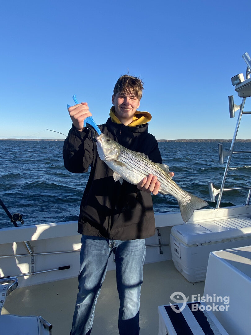 Reedville Report Photo 0